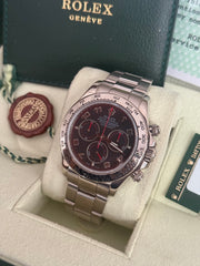 Pre-owned Rolex Daytona White Gold 40mm Racing Dial 116509 2005 Mint Condition Complete Set with Rolex Service