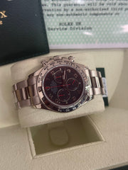 Pre-owned Rolex Daytona White Gold 40mm Racing Dial 116509 2005 Mint Condition Complete Set with Rolex Service